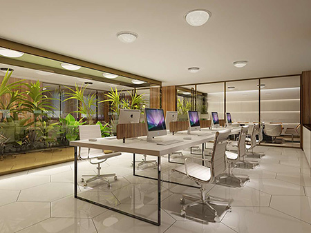 香港正能量生态办公基地 香港正能量生态办公基地