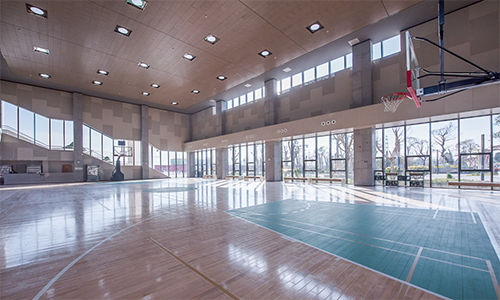 正能量光导照明系统体育馆应用 正能量光导照明系统体育馆应用